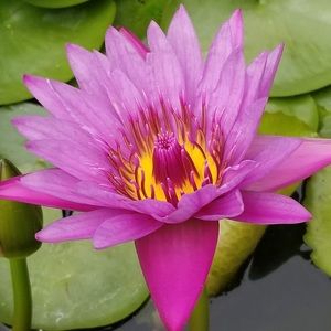 Meet your Posher, Jill